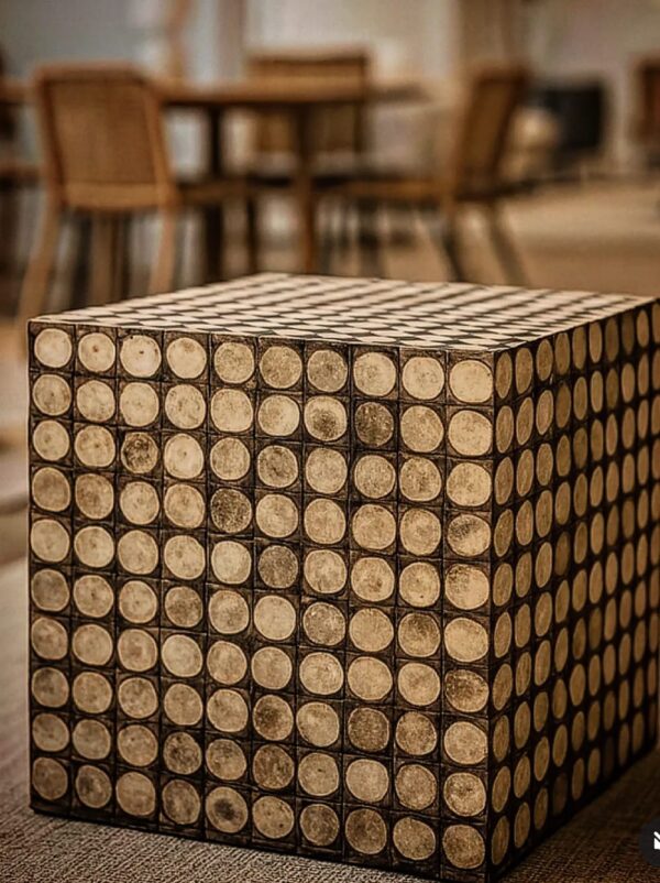 Coconut Shell Rustic Side Table